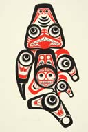 横：43 (cm)×縦：56 (cm)／43 (g)，撮影・計測日：2009-03-17