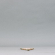 幅：11 (cm)×奥行：35 (cm)×高さ：1.2 (cm)／97 (g)，撮影・計測日：2004-02-18