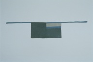 幅：199 (cm)×高さ：40 (cm)／218 (g)，撮影・計測日：2001-11-30
