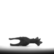 幅：3.0 (cm)×奥行：3.7 (cm)×高さ：1.0 (cm)／29 (g)，撮影・計測日：1996-05-22