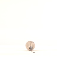 幅：2.1 (cm)×奥行：11 (cm)×高さ：2.2 (cm)／4 (g)，撮影・計測日：2001-02-02