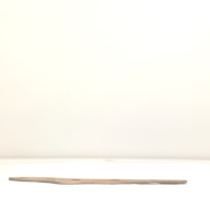 幅：20 (cm)×奥行：51 (cm)×高さ：0.9 (cm)／205 (g)，撮影・計測日：2001-06-05
