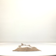 幅：51 (cm)×奥行：93 (cm)×高さ：1.5 (cm)／152 (g)，撮影・計測日：1996-03-07