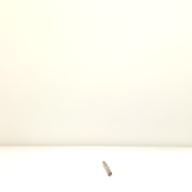 幅：0.9 (cm)×奥行：42 (cm)×高さ：0.9 (cm)／14 (g)，撮影・計測日：2001-06-12
