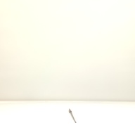 幅：1.6 (cm)×奥行：69 (cm)×高さ：2.6 (cm)／36 (g)，撮影・計測日：2001-06-12