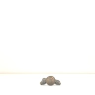 幅：2.1 (cm)×奥行：44 (cm)×高さ：4.9 (cm)／361 (g)，撮影・計測日：1996-03-01