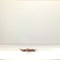幅：23 (cm)×奥行：22 (cm)×高さ：2.3 (cm)／75 (g)，撮影・計測日：1996-05-10