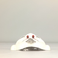 幅：20 (cm)×奥行：21 (cm)×高さ：8.8 (cm)／268 (g)，撮影・計測日：1997-12-15