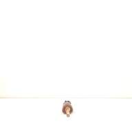 幅：8.0 (cm)×奥行：70 (cm)×高さ：8.5 (cm)／384 (g)，撮影・計測日：1994-10-04