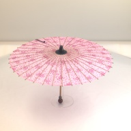 幅：79 (cm)×奥行：79 (cm)×高さ：50 (cm)／237 (g)，撮影・計測日：2001-06-15