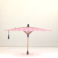 幅：79 (cm)×奥行：79 (cm)×高さ：50 (cm)／237 (g)，撮影・計測日：2001-06-15