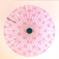 幅：79 (cm)×奥行：79 (cm)×高さ：50 (cm)／237 (g)，撮影・計測日：2001-06-15
