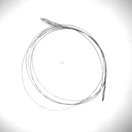 幅：16 (cm)×奥行：16 (cm)×高さ：0.1 (cm)／12 (g)，撮影・計測日：1996-07-05