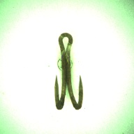 幅：2.2 (cm)×奥行：4.2 (cm)×高さ：1.4 (cm)／4 (g)，撮影・計測日：1996-05-28