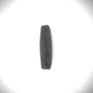 幅：0.9 (cm)×奥行：3.7 (cm)×高さ：0.9 (cm)／22 (g)，撮影・計測日：1996-05-23