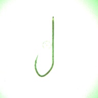 幅：1.7 (cm)×奥行：5.7 (cm)×高さ：0.1 (cm)／1 (g)，撮影・計測日：1996-05-28