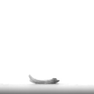幅：0.9 (cm)×奥行：3.4 (cm)×高さ：0.2 (cm)／7 (g)，撮影・計測日：1996-05-28