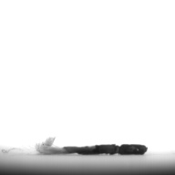 幅：0.9 (cm)×奥行：3.4 (cm)×高さ：0.2 (cm)／7 (g)，撮影・計測日：1996-05-28