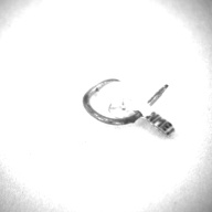 幅：1.7 (cm)×奥行：2.0 (cm)×高さ：0.1 (cm)／8 (g)，撮影・計測日：1996-05-30