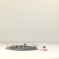 幅：3.9 (cm)×奥行：34 (cm)×高さ：4.1 (cm)／680 (g)，撮影・計測日：1998-02-06