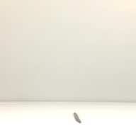 幅：1.9 (cm)×奥行：53 (cm)×高さ：1.1 (cm)／37 (g)，撮影・計測日：2001-06-22