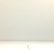 幅：1.3 (cm)×奥行：46 (cm)×高さ：1.9 (cm)／2 (g)，撮影・計測日：2001-06-18