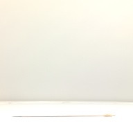 幅：1.3 (cm)×奥行：46 (cm)×高さ：1.9 (cm)／2 (g)，撮影・計測日：2001-06-18