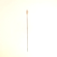 幅：1.3 (cm)×奥行：46 (cm)×高さ：1.9 (cm)／2 (g)，撮影・計測日：2001-06-18