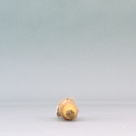 幅：3.9 (cm)×奥行：23 (cm)×高さ：3.9 (cm)／38 (g)，撮影・計測日：2003-10-21