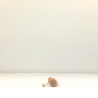 幅：2.9 (cm)×奥行：33 (cm)×高さ：2.8 (cm)／42 (g)，撮影・計測日：2001-08-21