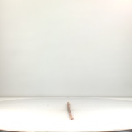 幅：2.2 (cm)×奥行：89 (cm)×高さ：2.3 (cm)／186 (g)，撮影・計測日：1994-10-03