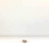幅：4.1 (cm)×奥行：31 (cm)×高さ：2.9 (cm)／70 (g)，撮影・計測日：1994-10-04
