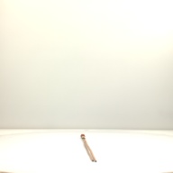 幅：3.0 (cm)×奥行：100 (cm)×高さ：6.6 (cm)／115 (g)，撮影・計測日：2001-06-26