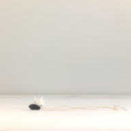 幅：0.2 (cm)×奥行：29 (cm)×高さ：1.3 (cm)／8 (g)，撮影・計測日：1996-05-02