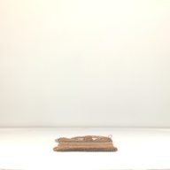 幅：29 (cm)×奥行：46 (cm)×高さ：2.4 (cm)／222 (g)，撮影・計測日：1996-05-07