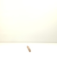 幅：2.9 (cm)×奥行：65 (cm)×高さ：2.5 (cm)／121 (g)，撮影・計測日：2001-07-09