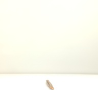 幅：2.8 (cm)×奥行：53 (cm)×高さ：1.7 (cm)／95 (g)，撮影・計測日：2001-07-11