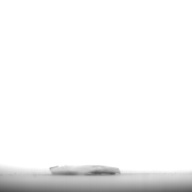 幅：2.7 (cm)×奥行：1.9 (cm)×高さ：0.2 (cm)／1 (g)，撮影・計測日：1996-06-17