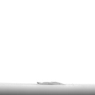 幅：1.5 (cm)×奥行：1.3 (cm)×高さ：0.1 (cm)／3 (g)，撮影・計測日：1996-06-17
