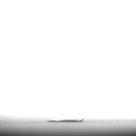 幅：1.7 (cm)×奥行：1.4 (cm)×高さ：0.1 (cm)／3 (g)，撮影・計測日：1996-06-17
