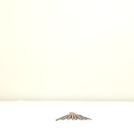 幅：10 (cm)×奥行：31 (cm)×高さ：1.2 (cm)／42 (g)，撮影・計測日：2001-07-31