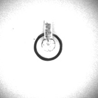 幅：1.5 (cm)×奥行：1.5 (cm)×高さ：0.1 (cm)／1 (g)，撮影・計測日：1996-05-07