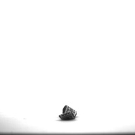 幅：13 (cm)×奥行：1.7 (cm)×高さ：0.1 (cm)／2 (g)，撮影・計測日：1996-05-20