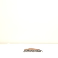 幅：12 (cm)×奥行：29 (cm)×高さ：1.2 (cm)／97 (g)，撮影・計測日：2001-08-02