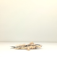 幅：38 (cm)×奥行：54 (cm)×高さ：3.3 (cm)／104 (g)，撮影・計測日：2001-08-23