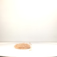 幅：29 (cm)×奥行：31 (cm)×高さ：0.8 (cm)／87 (g)，撮影・計測日：1996-05-09