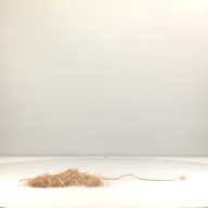 幅：24 (cm)×奥行：29 (cm)×高さ：0.8 (cm)／33 (g)，撮影・計測日：1996-05-07