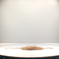 幅：25 (cm)×奥行：28 (cm)×高さ：1.1 (cm)／92 (g)，撮影・計測日：1996-05-07