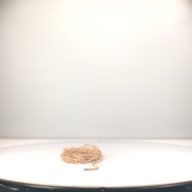 幅：25 (cm)×奥行：28 (cm)×高さ：1.1 (cm)／92 (g)，撮影・計測日：1996-05-07