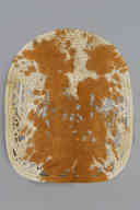 横：103 (cm)×縦：121 (cm)／1.06 (kg)，撮影・計測日：2010-06-23